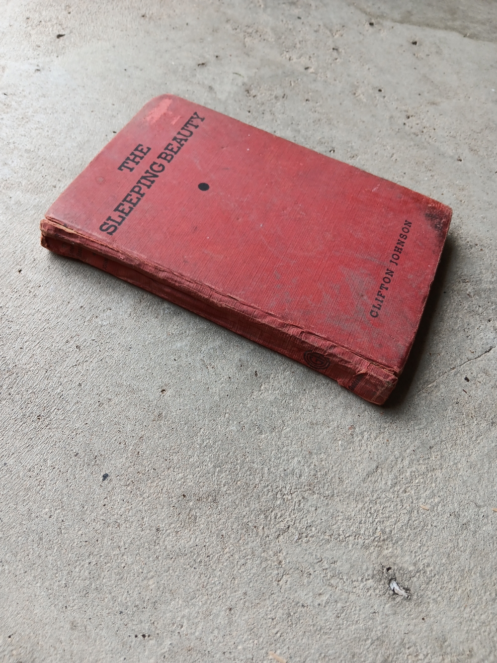 Vintage Sleeping Beauty Hardcover – First Edition 1935 by Clifton Johnson